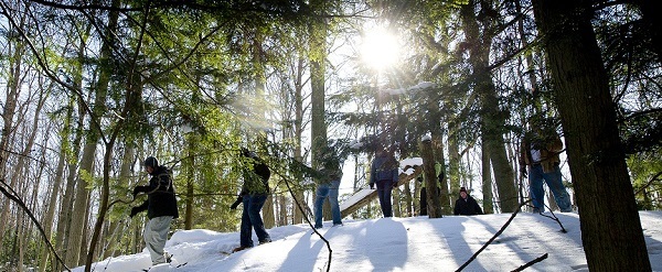 a line of snowshoe hikers through a Michigan forest, backlit by the sun