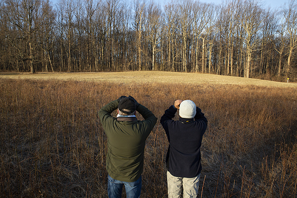 volunteers search for birds while conducting a Climate Watch survey