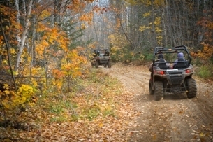 View of two off-road vehicles driving away in an autumn forest
