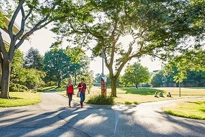 a view of the Calvin College campus in Michigan, which recently earned Tree Campus USA designation