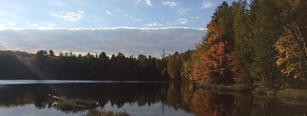 A sunlit view of Hike Lake (Alger County), blue sky at top with clouds, autumn tree line to the right