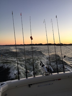 Several fishing poles anchored off the back of a moving boat at sunset