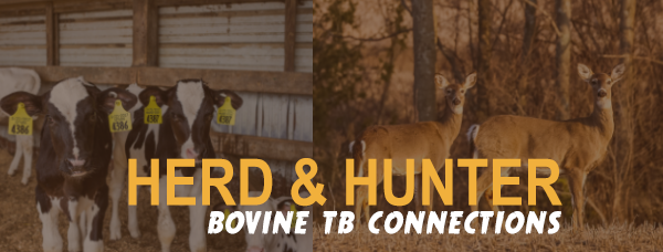 Bovine TB Connections