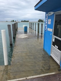 Flooded marinas and docks that have electric power running to them pose greater risk for electric shock drowning.