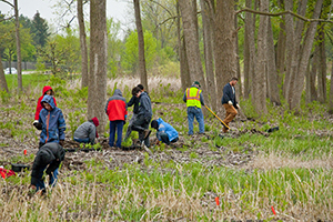 Stewardship volunteers cleaning up outdoor area