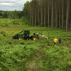 skidder in the woods