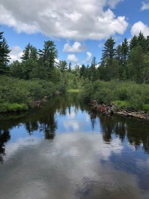 Upper Au Sable 1 