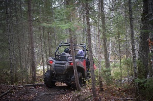 Two people drive an off-road vehicle through the forest 