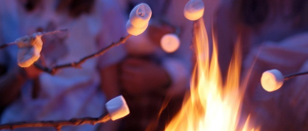 close-up view of several stocks with marshmallows roasting over a fire