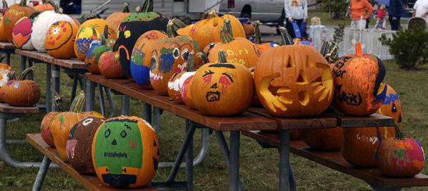 display of decorated pumpkins