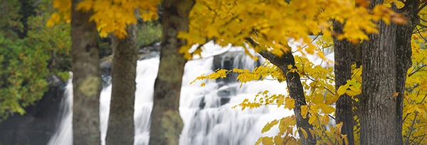 Bond Falls seen through autumn leaves