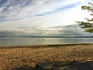 paddleboards at Keith J. Charters Traverse City State Park