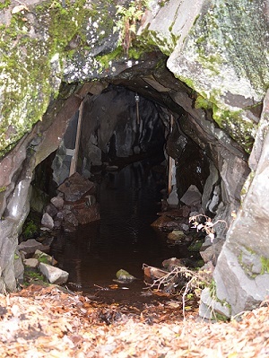opening to an abandoned mine shaft, surrounded by rock, moss and dried leaves, with darker areas inside (Ontonagon County)