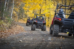 view of three all-terrain vehicles driving away from view down a trail, flanked by trees, many with golden leaves