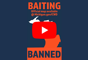 play button thumbnail image from DNR video explaining baiting restrictions