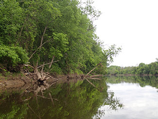 A slow, wide stretch of the Tittabawassee River is shown.