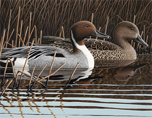 2019 Michigan Waterfowl Stamp & Print