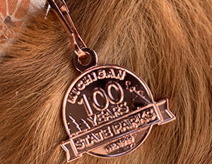 centennial pet tag