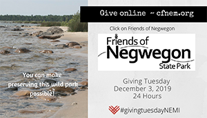 Giving Tuesday Northeast Michigan logo and event badge