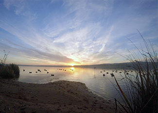 A beautiful sunrise over some duck decoys on a lake is shown.