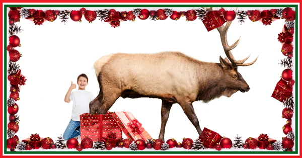 An elk walking out a present a child just opened.