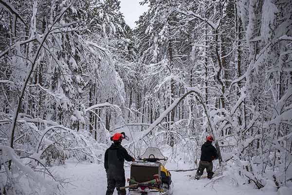 Two DNR staffers work to clear branches and trees from a snowed-in ski trail in Marquette County.