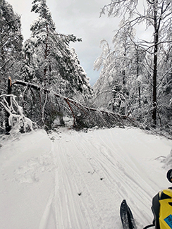 A broken tree blocks a snowmobile trail.