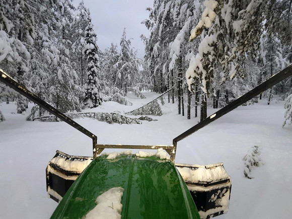 Tree branches fallen across a snowmobile trail are shown.
