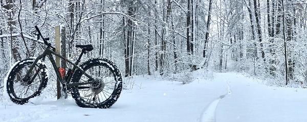 side view of a fat-tire bike next to a snowy forest and trail