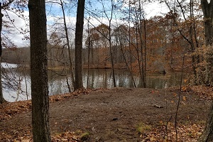 The view from a wooded, rustic campsite at Ionia State Recreation Area's Beechwood Campground