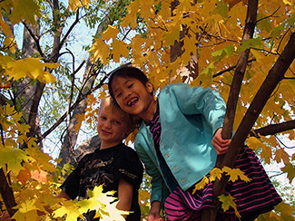Two young kids are shown up in a tree.