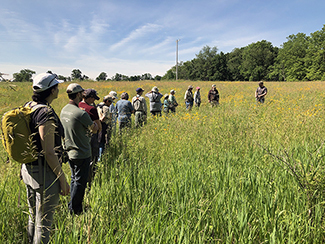 A group of people on a birdwatching outing stands in a grassland area under a blue summery sky.