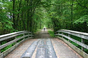 Bridge along the Kal Haven Trail