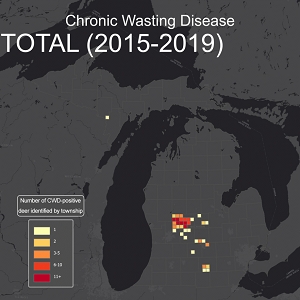 A still from an interactive map showing the number of CWD-positive deer in Michigan from 2015 through 2019.