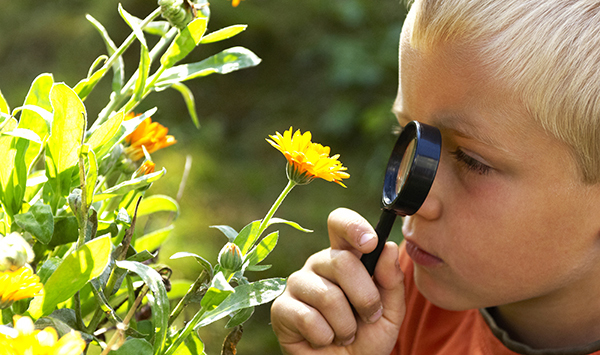 boy looking at flower with magnifying glass