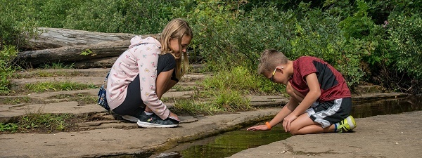 A young girl and boy kneeling down to explore a stream