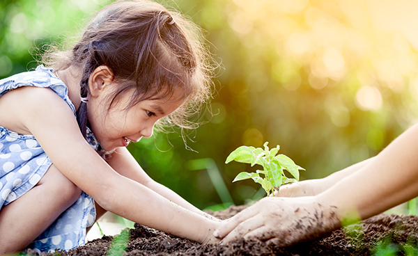 young girl planting tree seedling