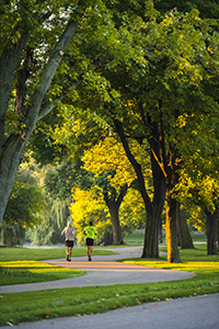 runners on an urban trail with trees