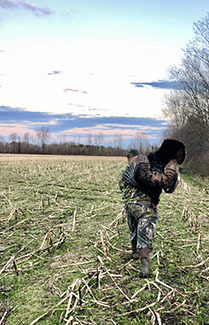 Author Ryan Soulard leaves a farmer's field after a successful turkey hunt.
