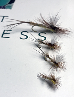 A handful of Roberts' Yellow Drake flies are shown on the cover of a copy of "Trout Madness" by Robert Traver.