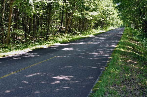A photo shows a shaded, summery portion of South Boundary Road at Porcupine Mountains Wilderness State Park.