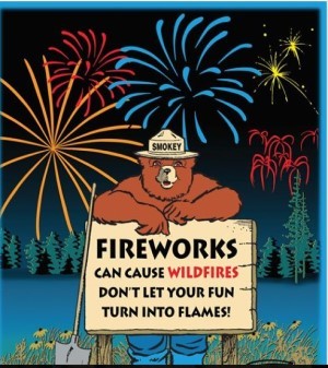Smokey Bear fireworks