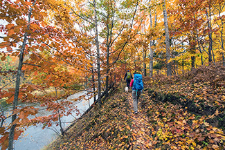 Hikers walk along the North Country National Scenic Trail through a pretty autumn forest of colored leaves.