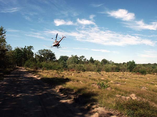 A helicopter applies herbicide.