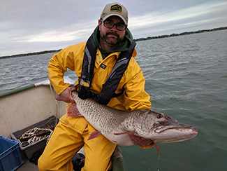 Brad Utrup, technician at the Lake St. Clair Fisheries Research Station in Macomb County, holds an acoustically tagged muskellunge. 