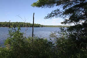 A water view from a land parcel on Dyer Lake in Missaukee County, available through the DNR's 2020 surplus land auction