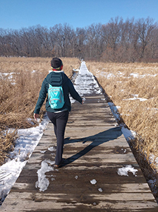hiker with day park on boardwalk trail through snowy wetland area