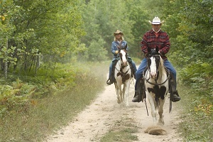 Michigan Trail Riders Help the ‘Trails State’ shape Michigan’s trails management plan