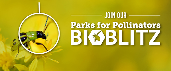 Parks for Pollinators graphic