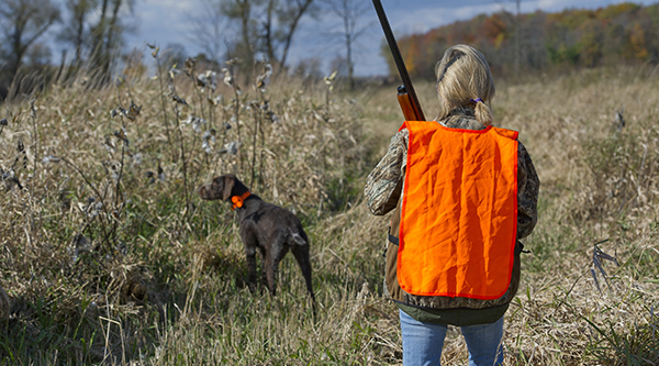 Female hunter walking near corn field with dog